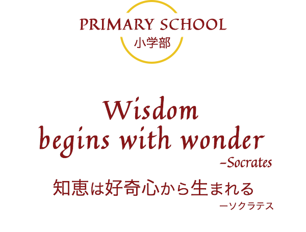 Wisdom begins with wonder 知恵は好奇心から生まれる